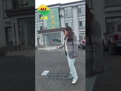 線絡み MZP 最低賃金 低可視性障害