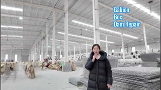 ダム修復のためのヘスコバリア生産蛇籠ボックスの陸軍使用強力な擁壁