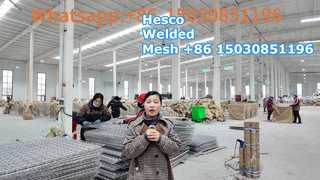 Hesco 溶接メッシュパネル
