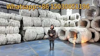 コンサーティーナかみそりワイヤーセキュリティ有刺鉄線